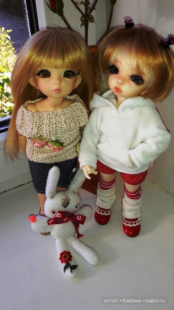 Мои Литтелфи Васенка и Бижу спасли из сада розу