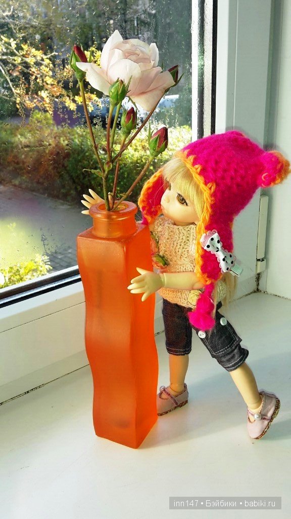 Мои Литтелфи Васенка и Бижу спасли из сада розу (фото 7)