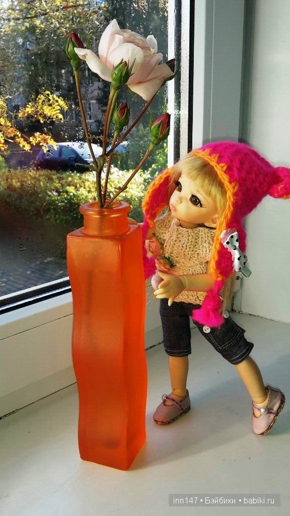 Мои Литтелфи Васенка и Бижу спасли из сада розу (фото 6)