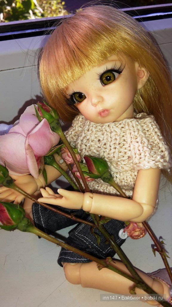 Мои Литтелфи Васенка и Бижу спасли из сада розу