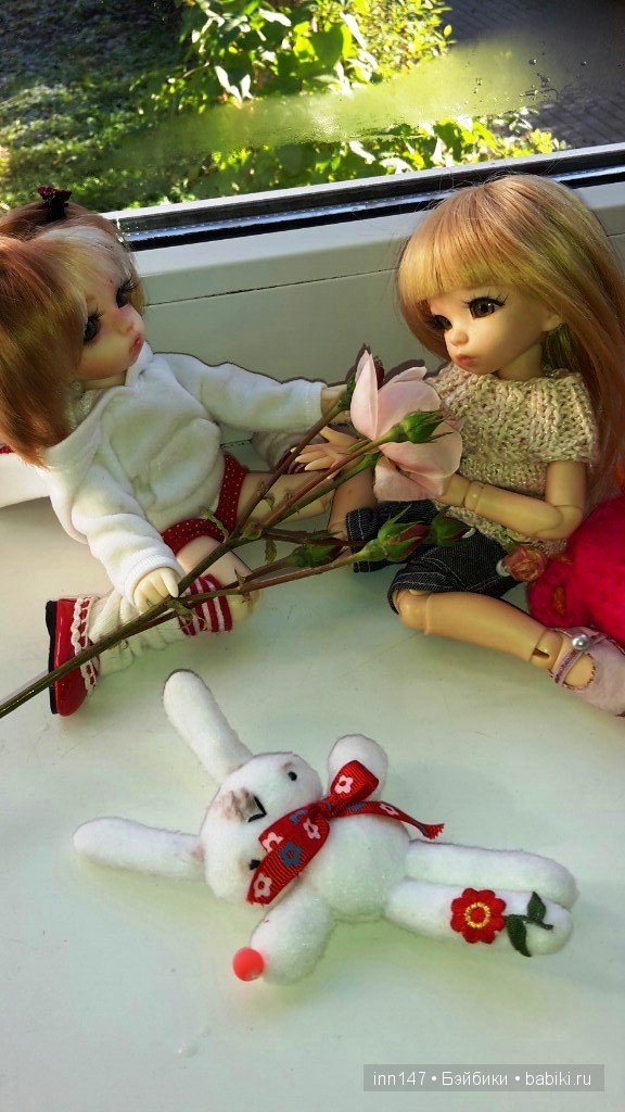 Мои Литтелфи Васенка и Бижу спасли из сада розу (фото 9)