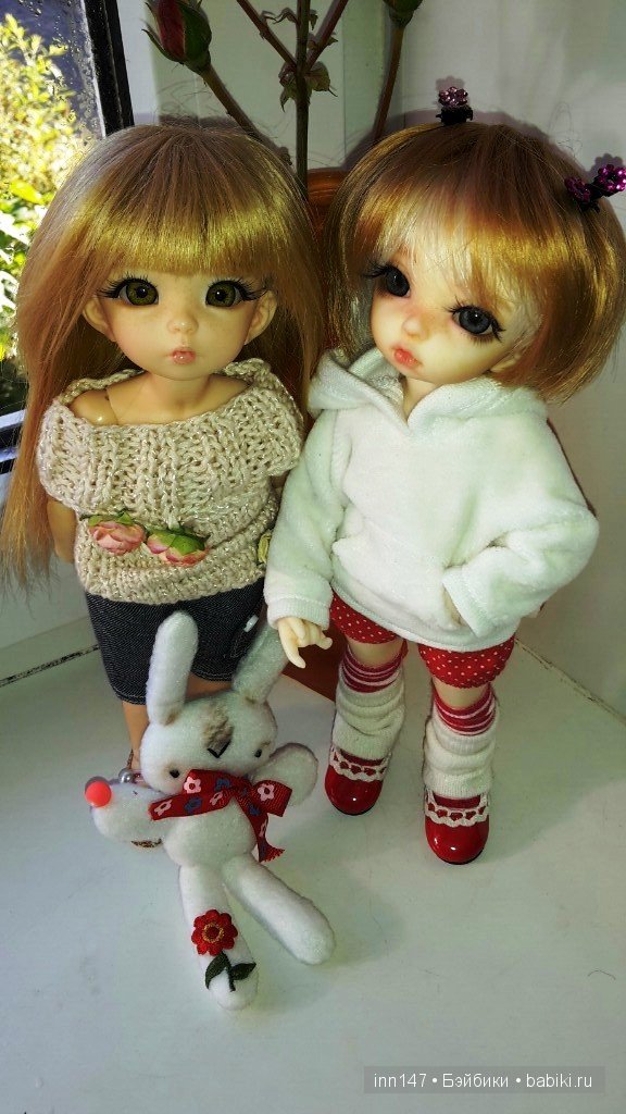 Мои Литтелфи Васенка и Бижу спасли из сада розу