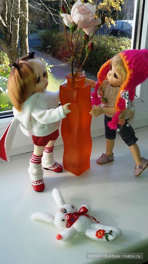 Мои Литтелфи Васенка и Бижу спасли из сада розу (фото 8)