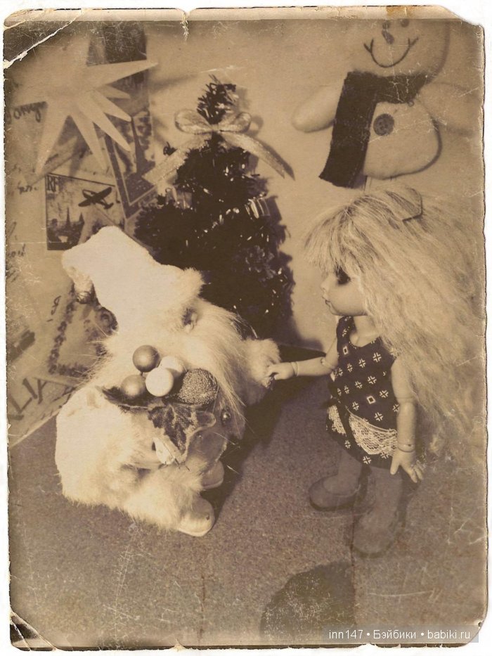 Зои 2016! Моя пукифи спешит показаться в Новом году (фото 6)