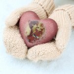 Зои 2016! Моя пукифи спешит показаться в Новом году