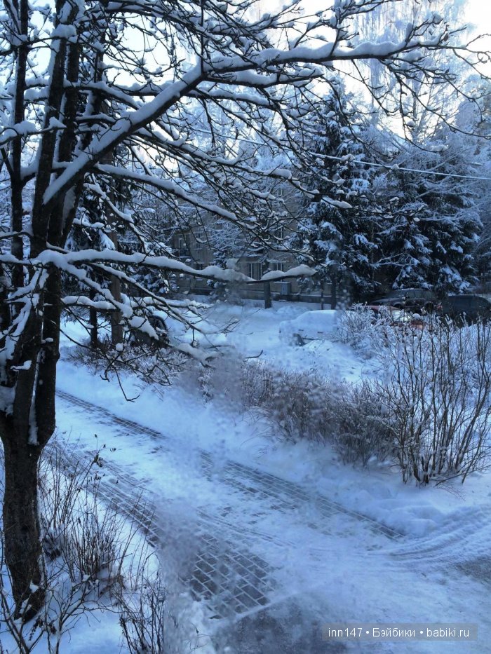 Мой цветочек, Ромашка. Соляночка