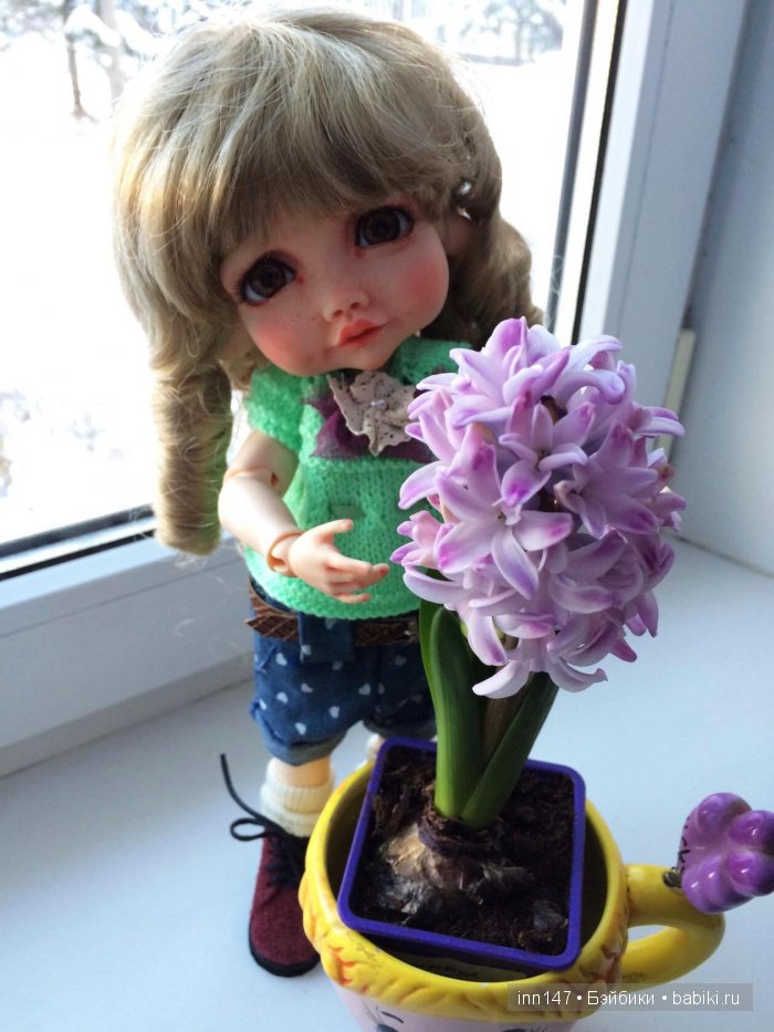 Мой цветочек, Ромашка. Соляночка