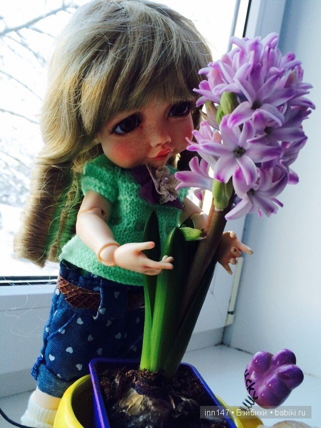 Мой цветочек, Ромашка. Соляночка