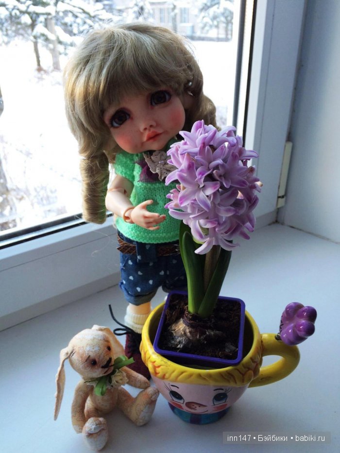 Мой цветочек, Ромашка. Соляночка