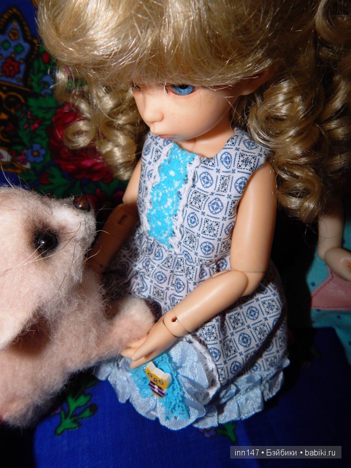 Мои сестрички Литтелфи Васена и Бижу (фото 5)