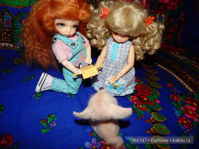 Мои сестрички Литтелфи Васена и Бижу (фото 10)