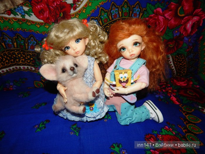 Мои сестрички Литтелфи Васена и Бижу (фото 3)