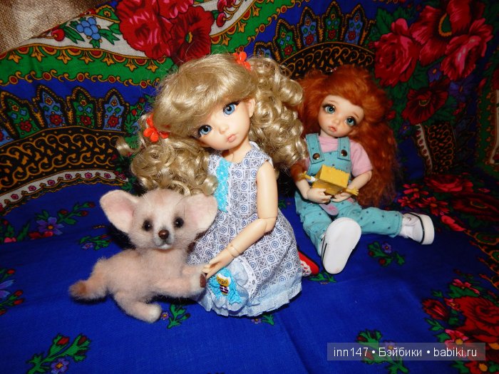 Мои сестрички Литтелфи Васена и Бижу (фото 7)