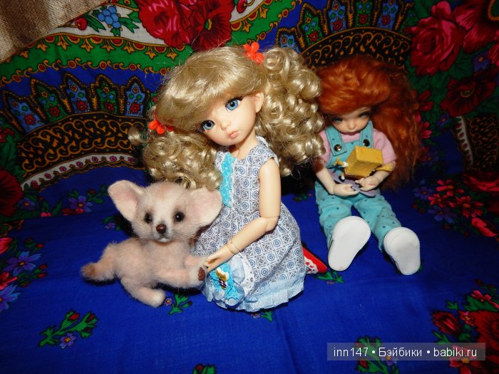 Мои сестрички Литтелфи Васена и Бижу (фото 6)