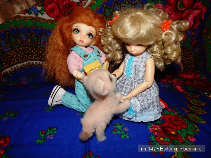 Мои сестрички Литтелфи Васена и Бижу (фото 9)