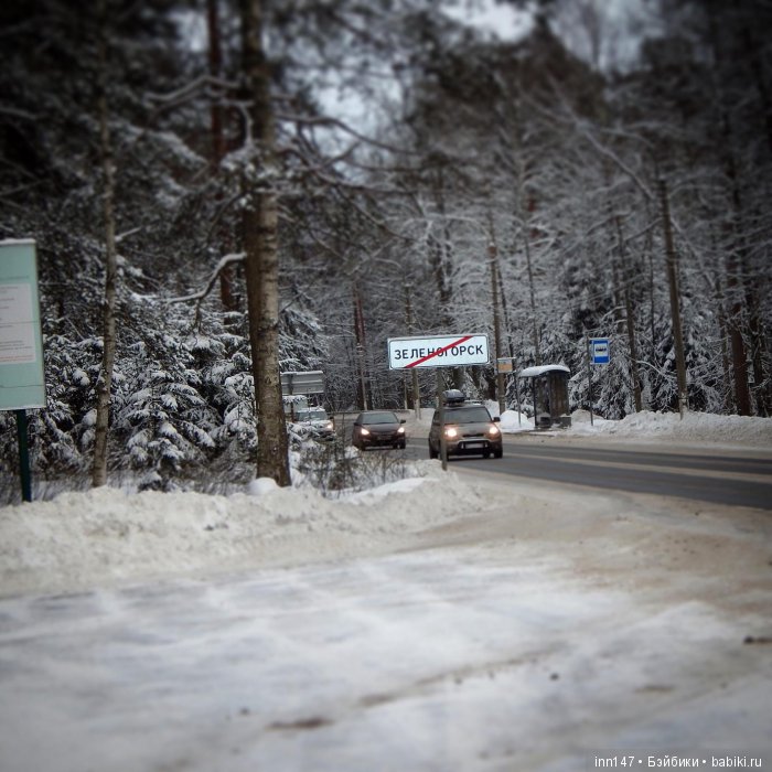 Меня девочка ждала на остановке в г. Зеленогорске, близ Санкт-Петербурга