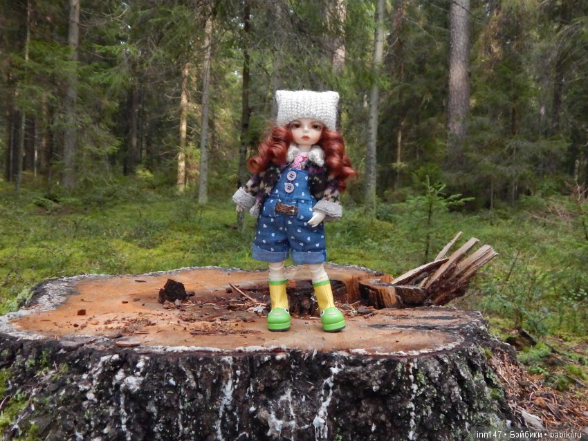 Осень. Мы в пригороде Санкт-Петербурга с Вивиан вышли на прогулку