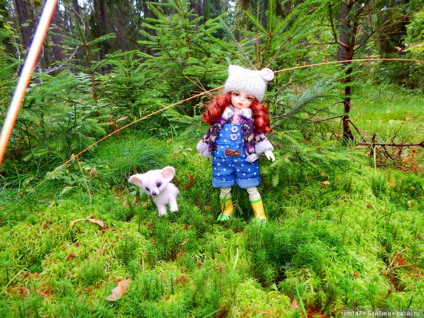 Осень. Мы в пригороде Санкт-Петербурга с Вивиан вышли на прогулку (фото 8)