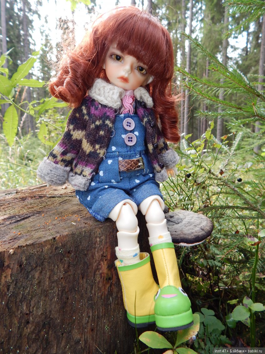 Осень. Мы в пригороде Санкт-Петербурга с Вивиан вышли на прогулку