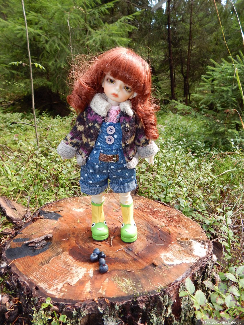 Осень. Мы в пригороде Санкт-Петербурга с Вивиан вышли на прогулку