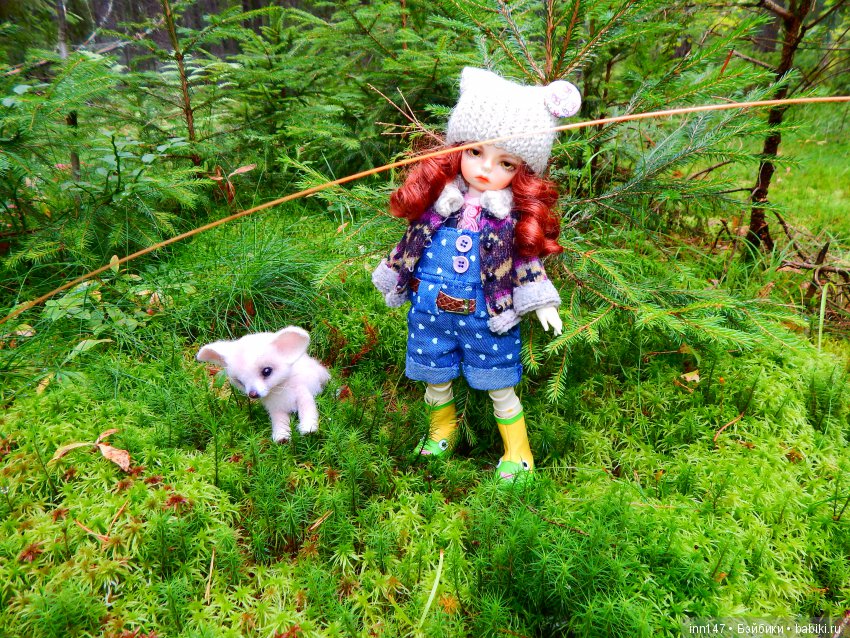 Осень. Мы в пригороде Санкт-Петербурга с Вивиан вышли на прогулку (фото 9)