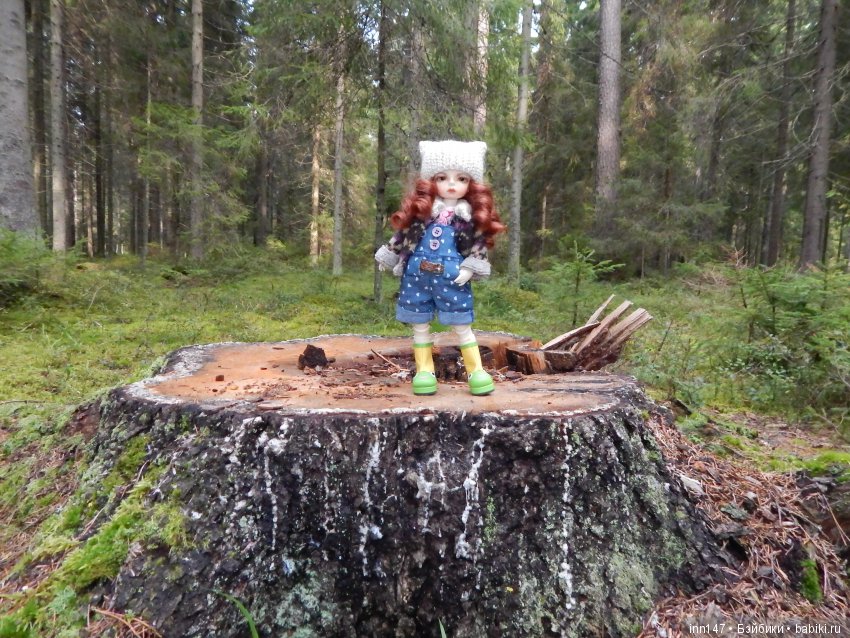 Осень. Мы в пригороде Санкт-Петербурга с Вивиан вышли на прогулку