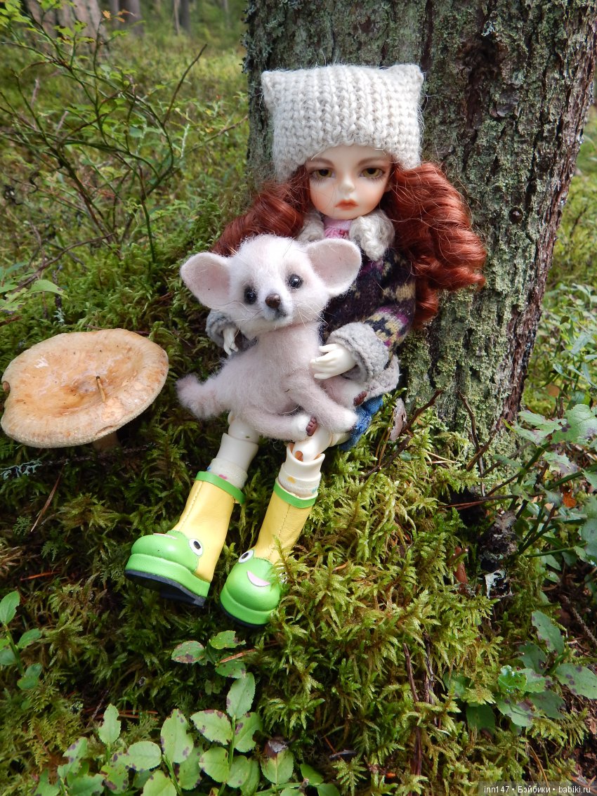 Осень. Мы в пригороде Санкт-Петербурга с Вивиан вышли на прогулку