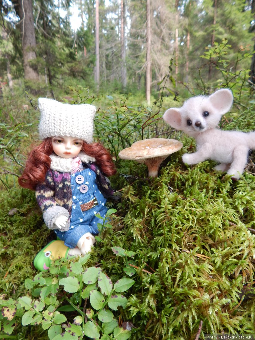 Осень. Мы в пригороде Санкт-Петербурга с Вивиан вышли на прогулку