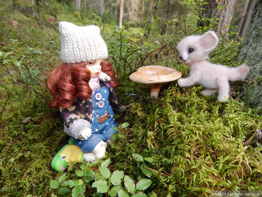 Осень. Мы в пригороде Санкт-Петербурга с Вивиан вышли на прогулку