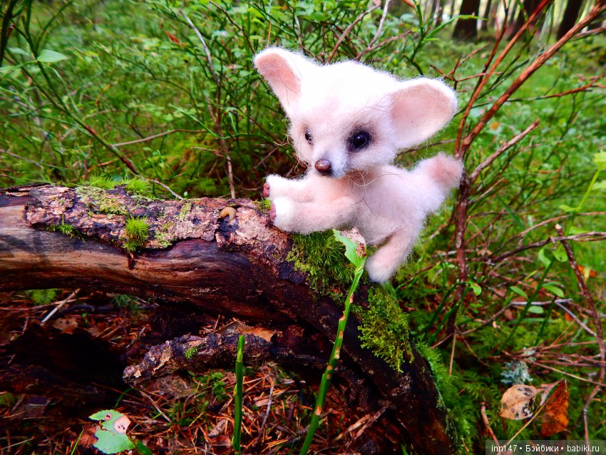 Осень. Мы в пригороде Санкт-Петербурга с Вивиан вышли на прогулку (фото 7)