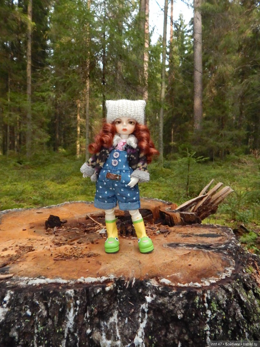 Осень. Мы в пригороде Санкт-Петербурга с Вивиан вышли на прогулку