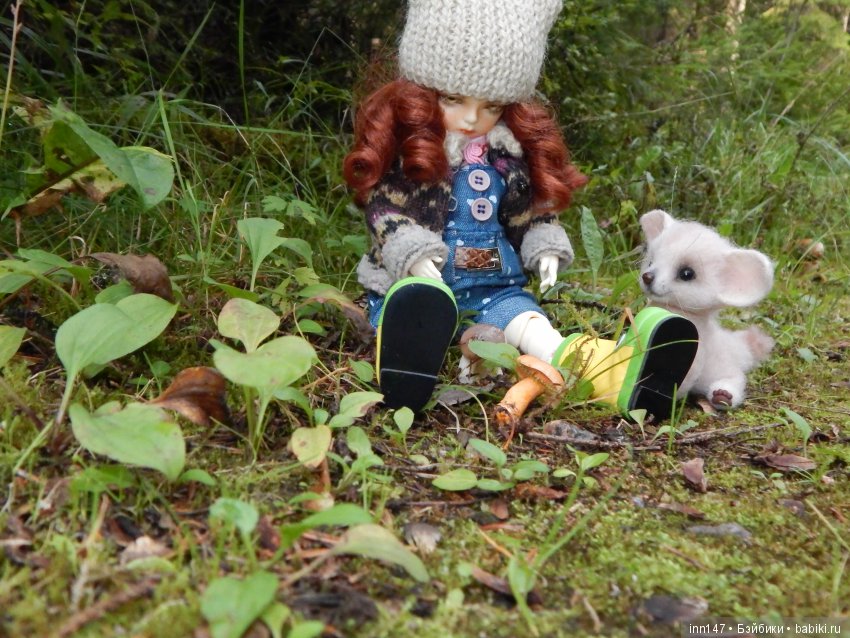 Осень. Мы в пригороде Санкт-Петербурга с Вивиан вышли на прогулку