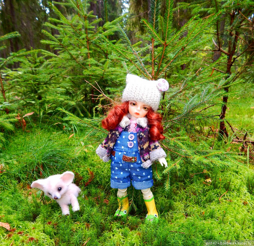 Осень. Мы в пригороде Санкт-Петербурга с Вивиан вышли на прогулку (фото 10)