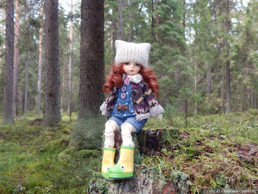 Осень. Мы в пригороде Санкт-Петербурга с Вивиан вышли на прогулку