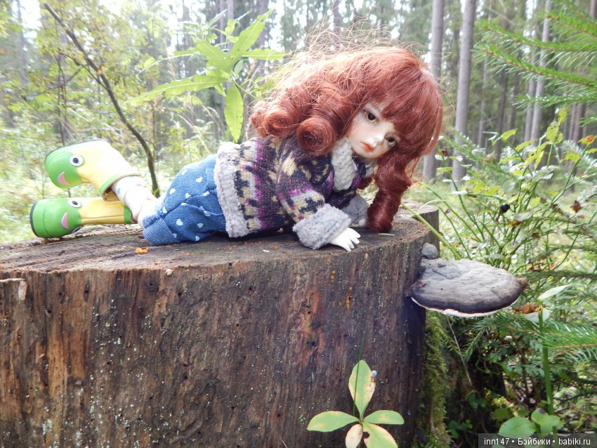 Осень. Мы в пригороде Санкт-Петербурга с Вивиан вышли на прогулку