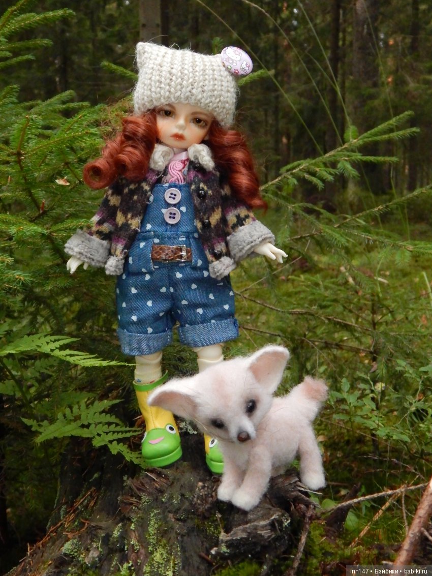 Осень. Мы в пригороде Санкт-Петербурга с Вивиан вышли на прогулку