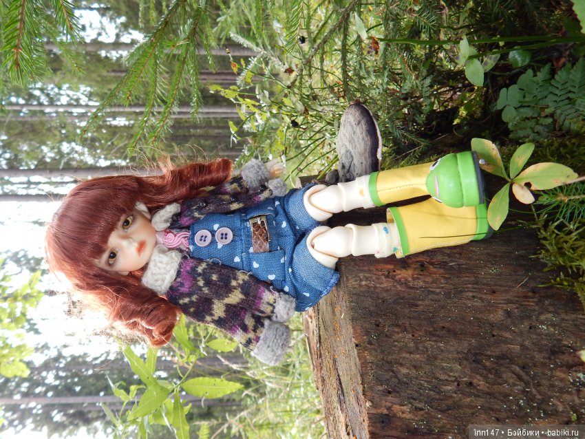 Осень. Мы в пригороде Санкт-Петербурга с Вивиан вышли на прогулку