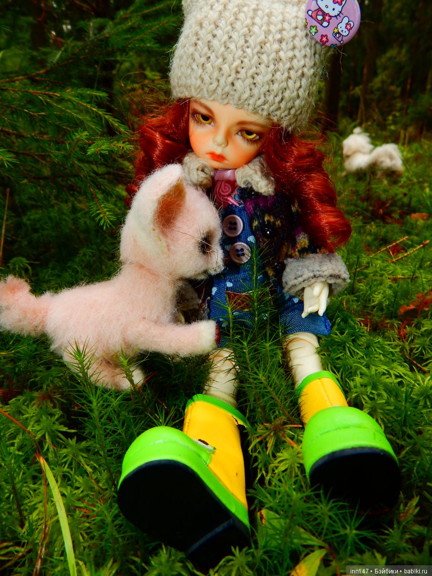 Осень. Мы в пригороде Санкт-Петербурга с Вивиан вышли на прогулку