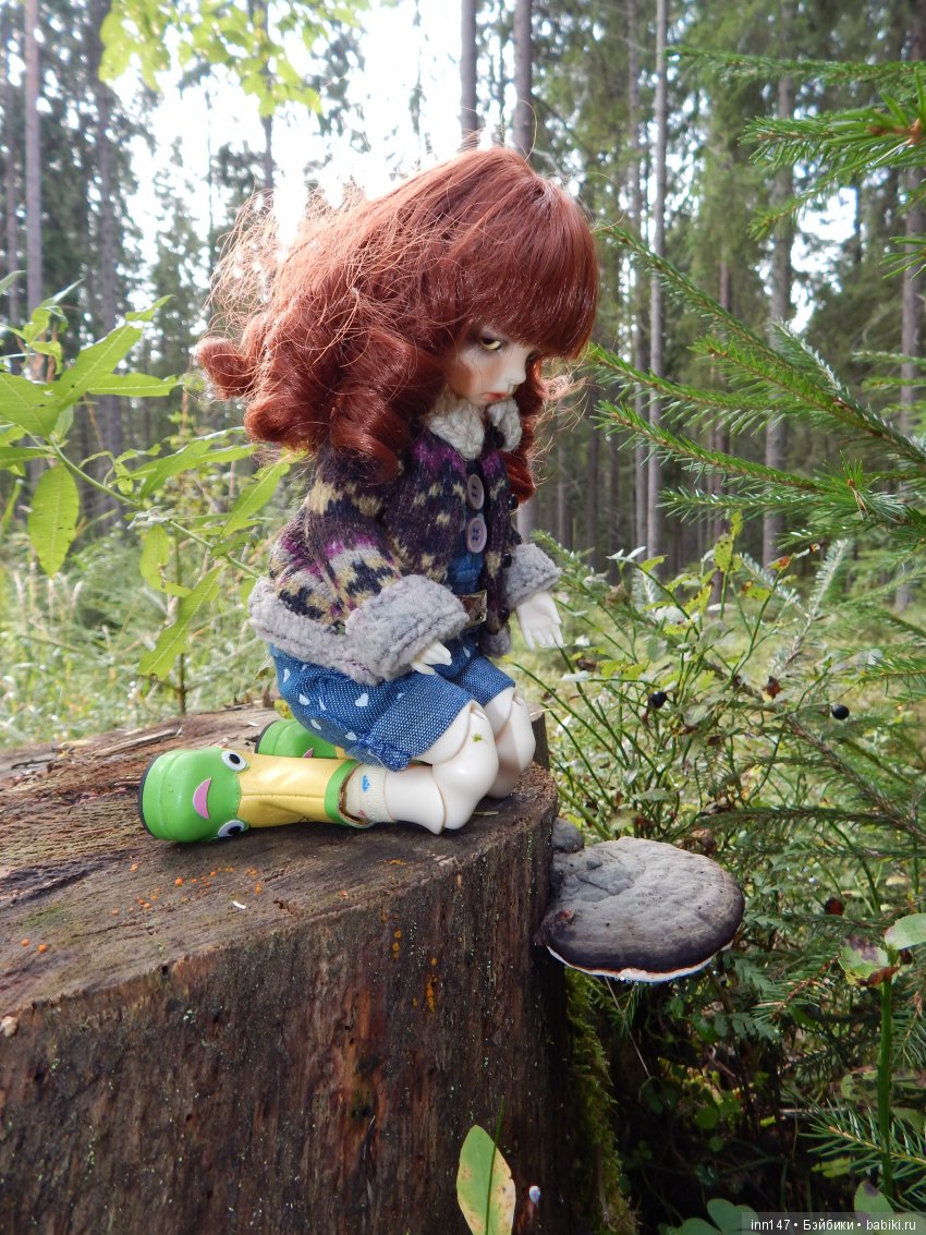 Осень. Мы в пригороде Санкт-Петербурга с Вивиан вышли на прогулку