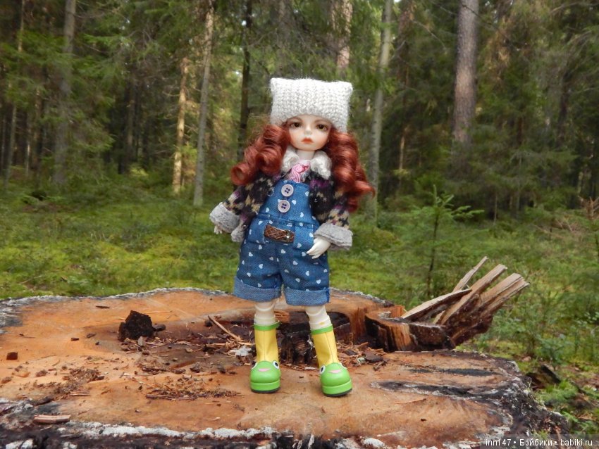 Осень. Мы в пригороде Санкт-Петербурга с Вивиан вышли на прогулку