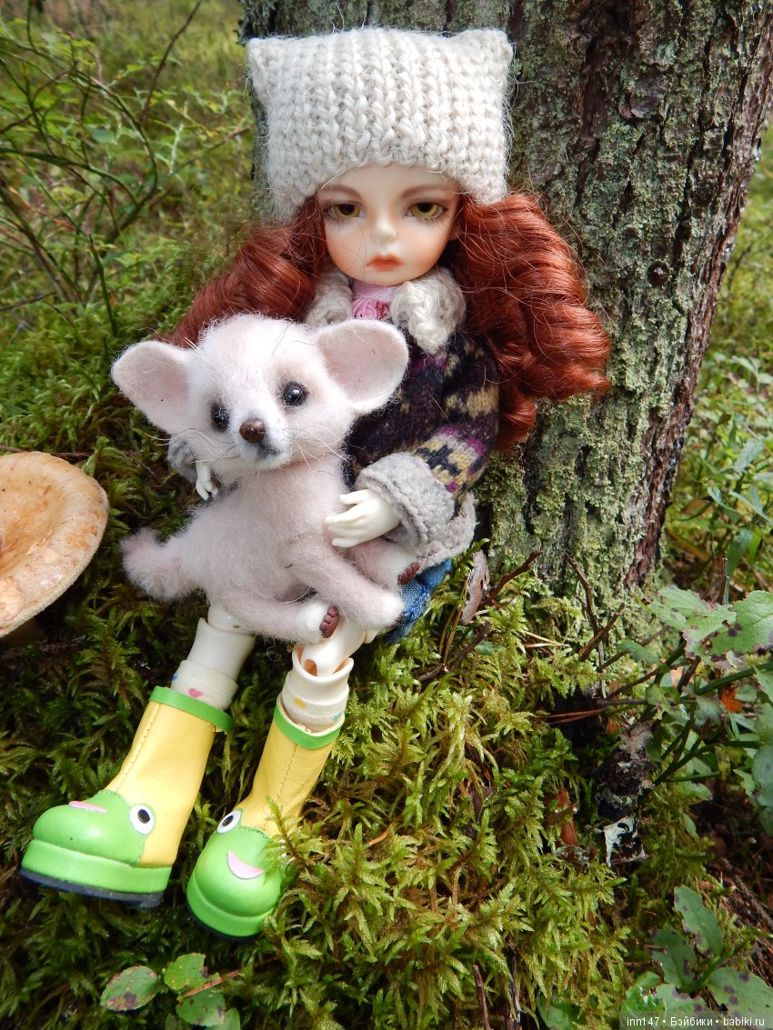 Осень. Мы в пригороде Санкт-Петербурга с Вивиан вышли на прогулку