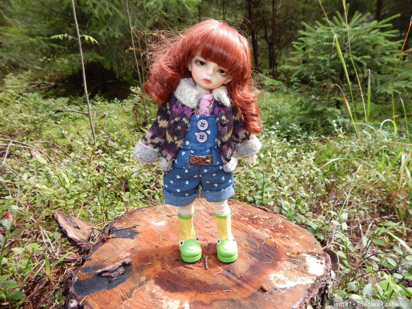 Осень. Мы в пригороде Санкт-Петербурга с Вивиан вышли на прогулку