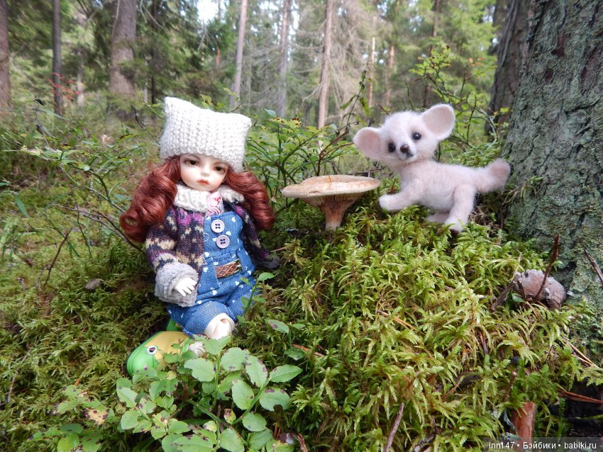 Осень. Мы в пригороде Санкт-Петербурга с Вивиан вышли на прогулку