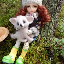 Осень. Мы в пригороде Санкт-Петербурга с Вивиан вышли на прогулку