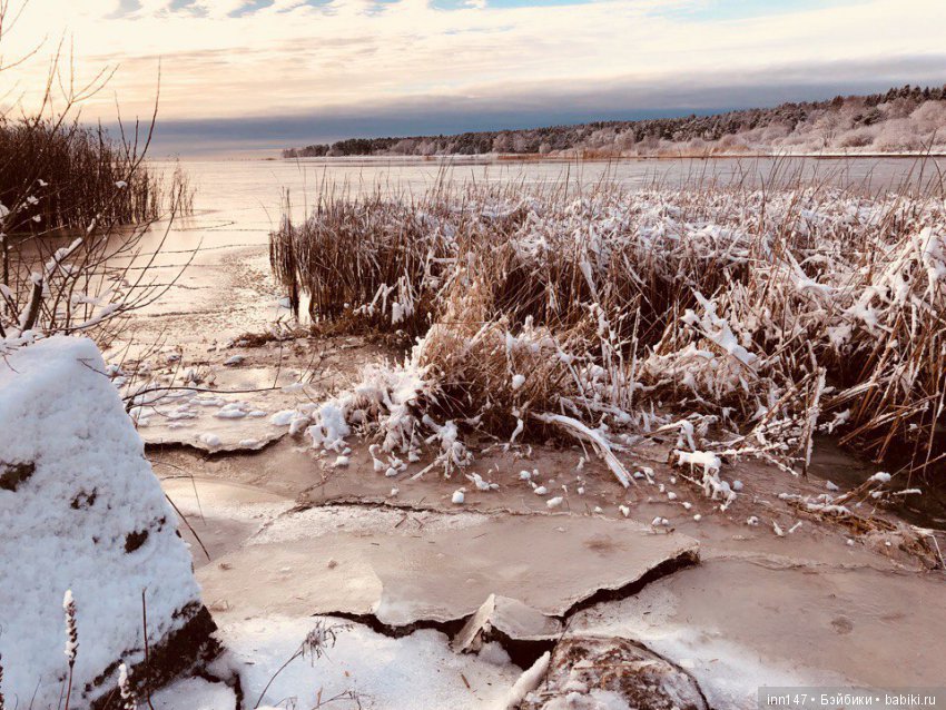 Сердце лечим сердцем, наш девиз. Приглашаю на экскурсию