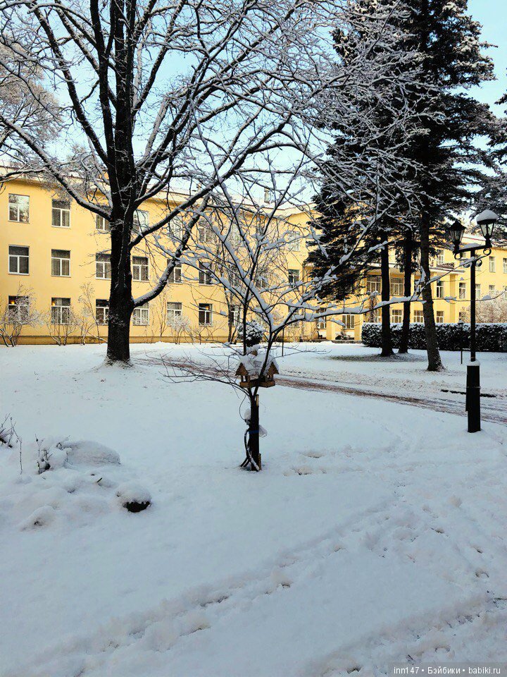 Сердце лечим сердцем, наш девиз. Приглашаю на экскурсию