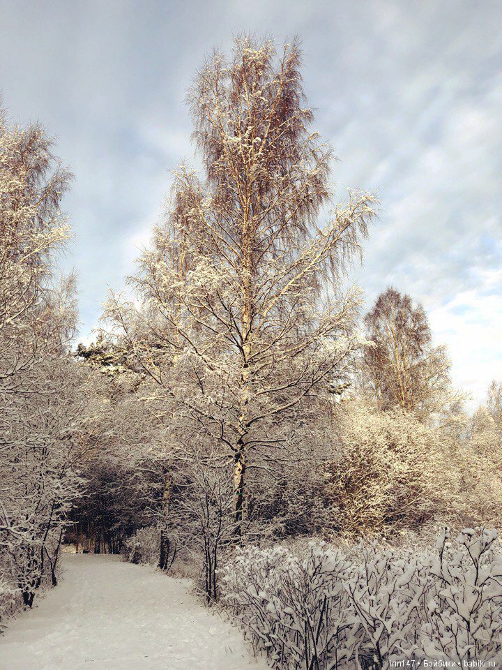 Сердце лечим сердцем, наш девиз. Приглашаю на экскурсию (фото 6)