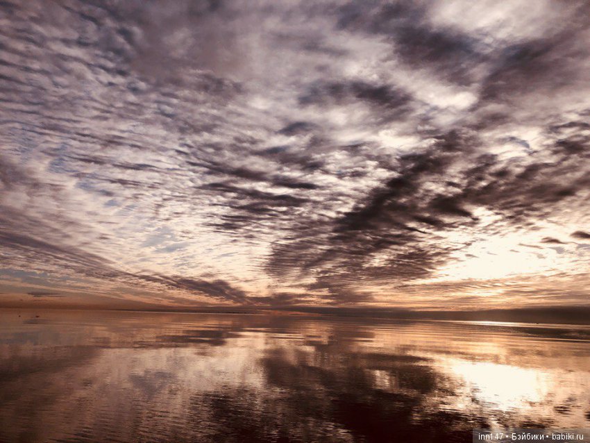 Сердце лечим сердцем, наш девиз. Приглашаю на экскурсию