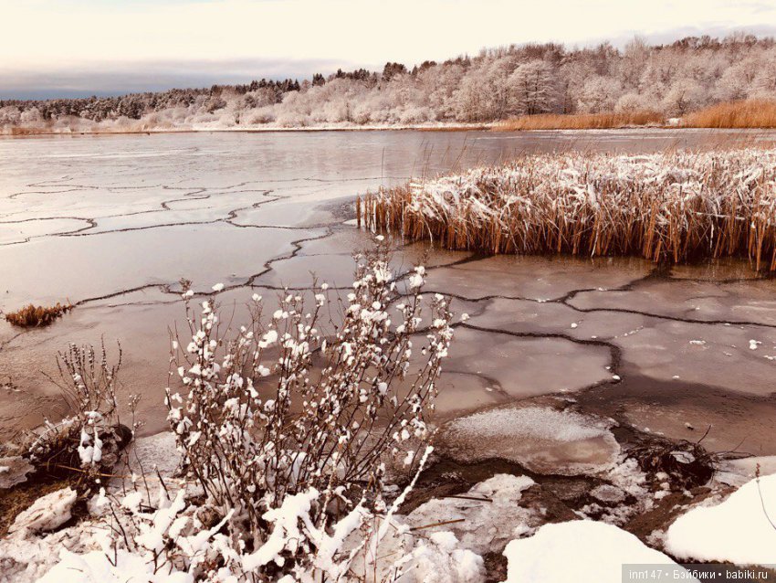 Сердце лечим сердцем, наш девиз. Приглашаю на экскурсию