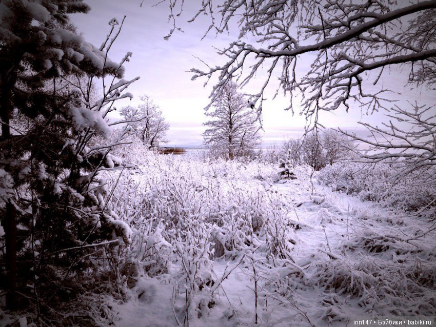 Сердце лечим сердцем, наш девиз. Приглашаю на экскурсию (фото 10)